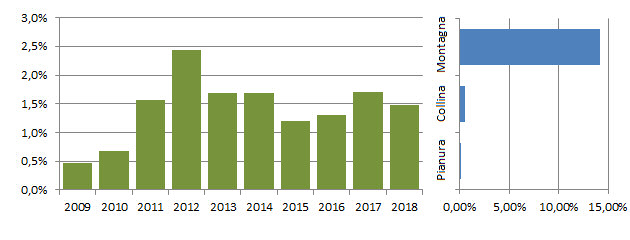 noccio_grafici.jpg