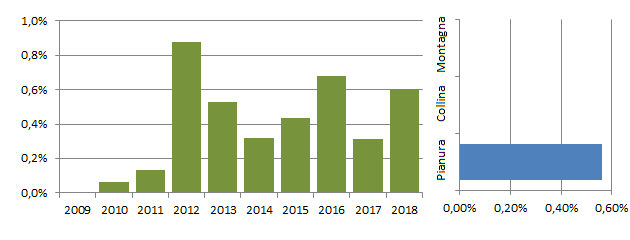 ocaegi_grafici.jpg