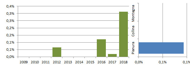 ocaind_grafici.jpg