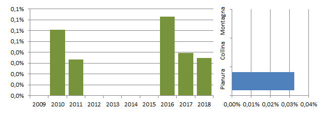 ocalomm_grafici.jpg