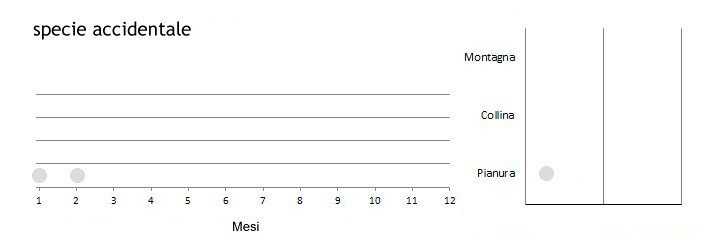 ocazam_grafici.jpg