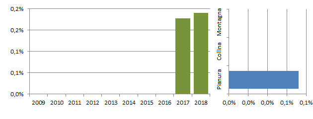 organe_grafici.jpg