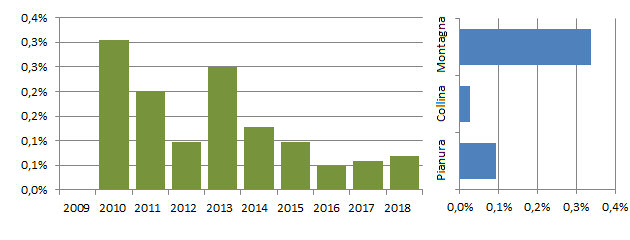 ortolano_grafici.jpg