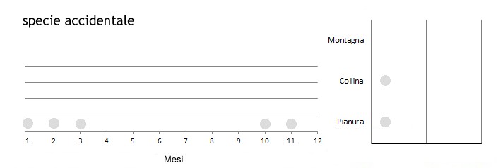 paslag_grafici.jpg