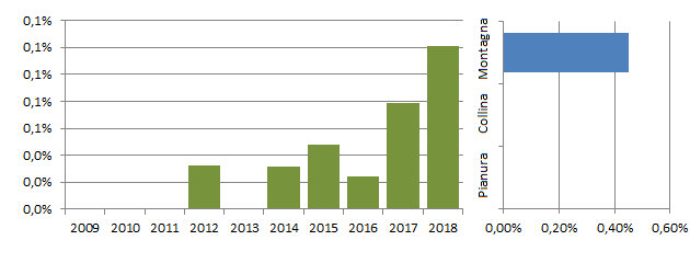 pictri_grafici.jpg