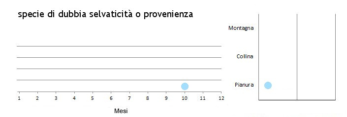 pigmug_grafici.jpg