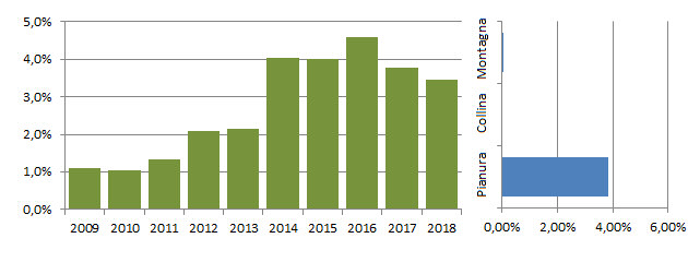 piopan_grafici.jpg