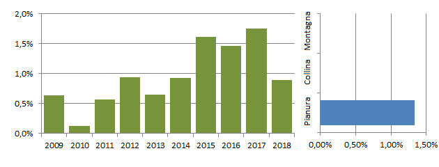 piotri_grafici.jpg