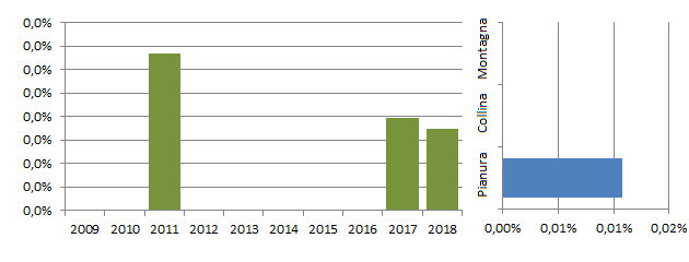 poicod_grafici.jpg