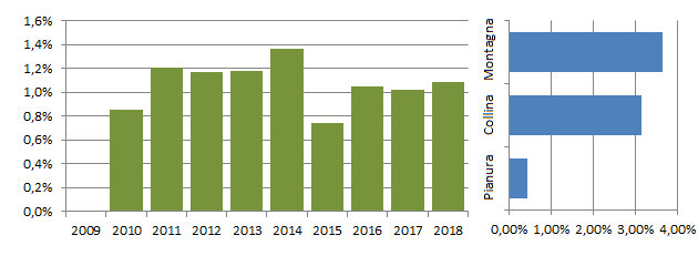 ronmag_grafici.jpg