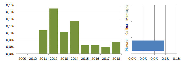 ronros_grafici.jpg