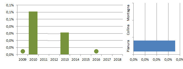 sacro_grafici.jpg