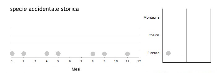 sirratte_grafici.jpg