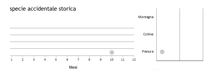 spimar_grafici.jpg