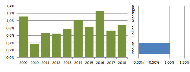 stemag_grafici.jpg