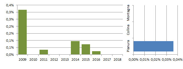 stermez_grafici.jpg