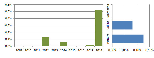 storos_grafici.jpg