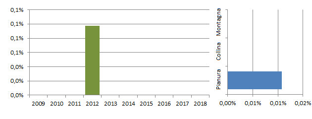 grafici