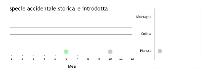 trombet_grafici.jpg