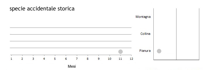 uccdet_grafici.jpg