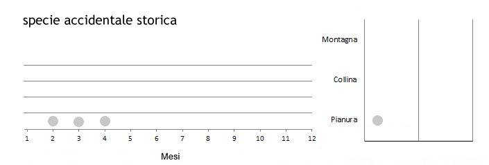 uria_grafici.jpg