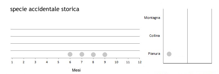 usidaf_grafici.jpg