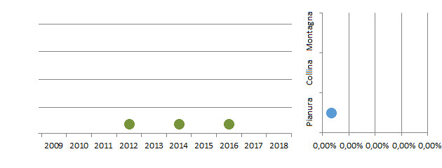 usimag_grafici.jpg