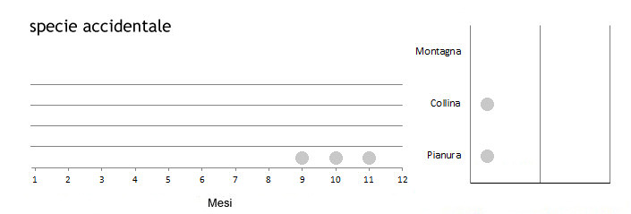 zigdac_grafici.jpg