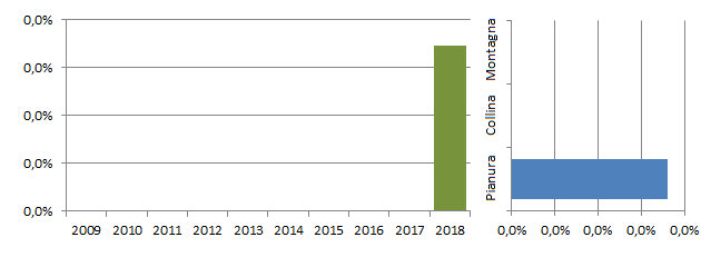 zigdel_grafici.jpg