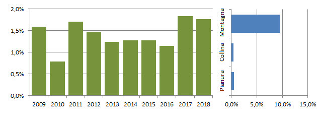 ziggia_grafici.jpg