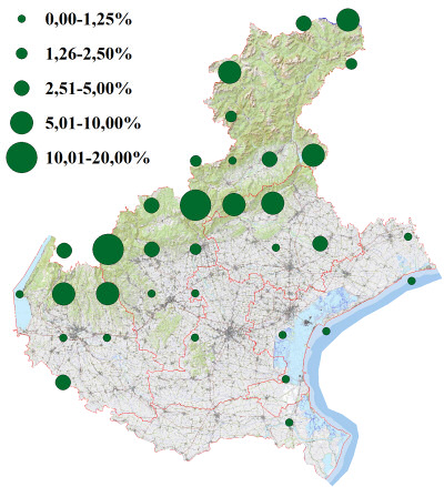 ziggia_veneto.jpg