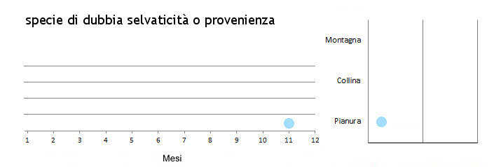 zigmuo_grafici.jpg