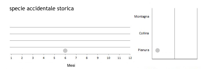 zigtea_grafici.jpg