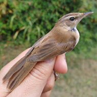 Valle Ghebo Storto (PD), 12.10.2023