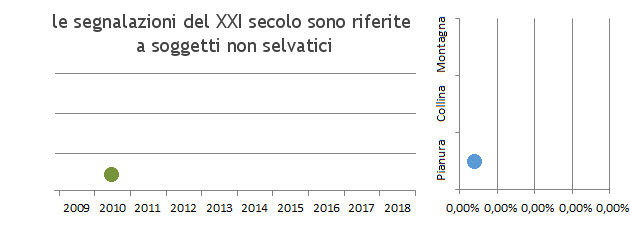 ciufdep_grafici.jpg