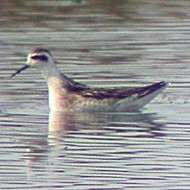 abito invernale, settembre