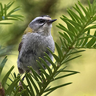 giovane, Verona, 29.06.2019