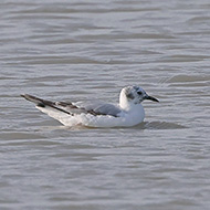 2cy, Tessera, Venezia, 27.05.2022