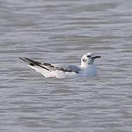 2cy, Tessera, Venezia, 27.05.2022