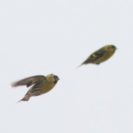 gruppo, Valle Grassab� (VE), 10.04.2013