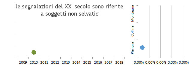 ocaden_grafici.jpg