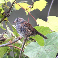 1cy, San Giovanni Lupatoto (VR), 19.10.2013