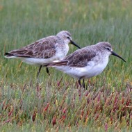 abito invernale, settembre