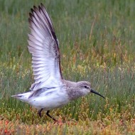 abito invernale, settembre