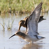 abito invernale, settembre