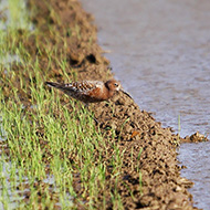 abito di transizione, aprile