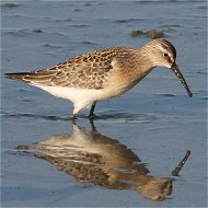 giovani, Valle Cannelle (RO), 13.09.2007