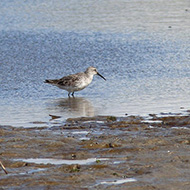 abito invernale, settembre