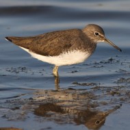 Vallesina (VE), 22.10.2011