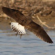 Vallesina (VE), 13.03.2012